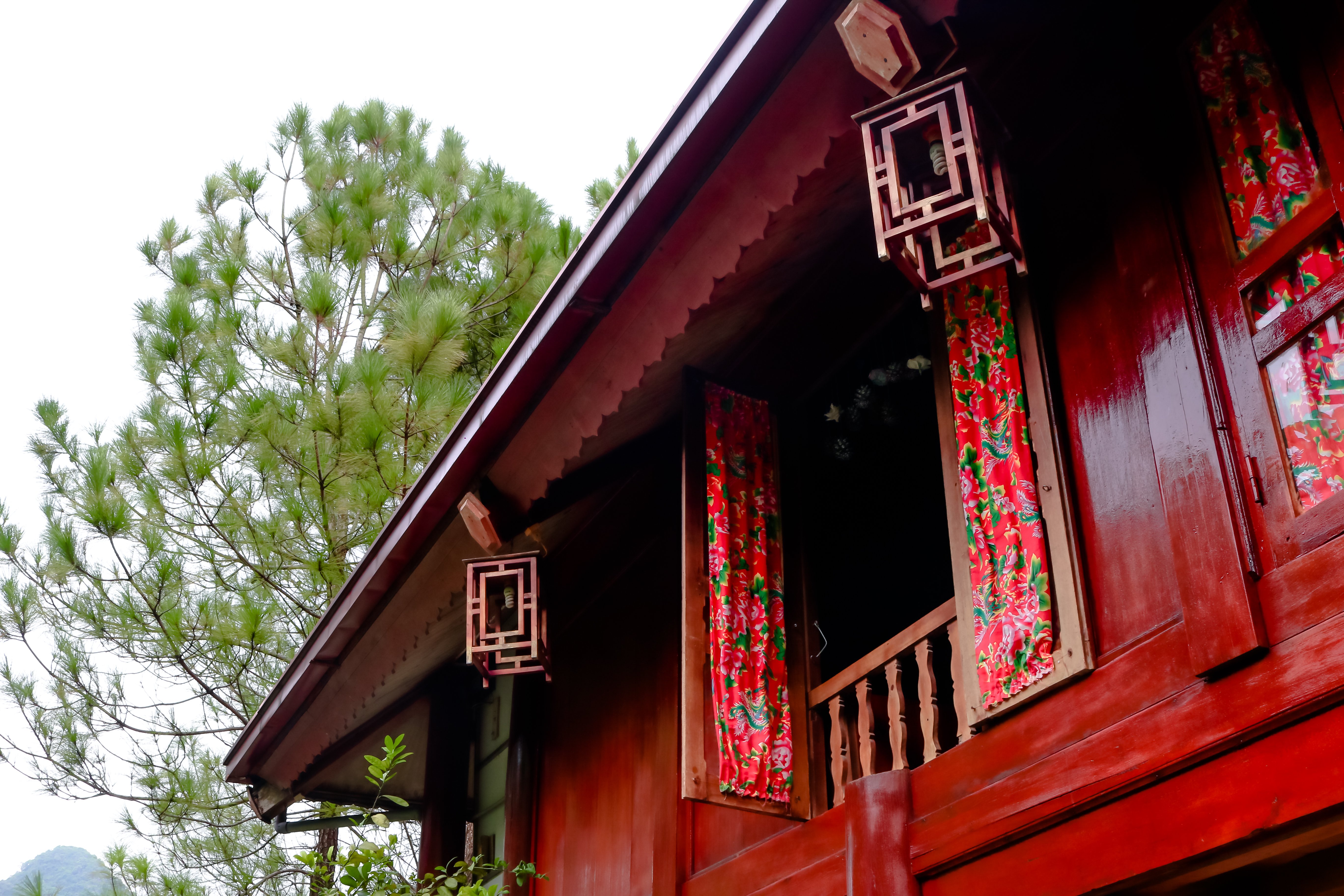 Cat Ba Eco Lodge-酒店景观