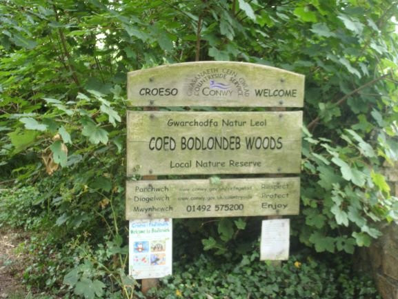Bodlondeb Woods Local Nature Reserve景点图片