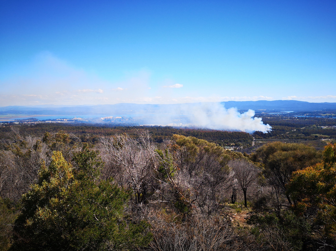 Mt George Lookout-George Town必去景点