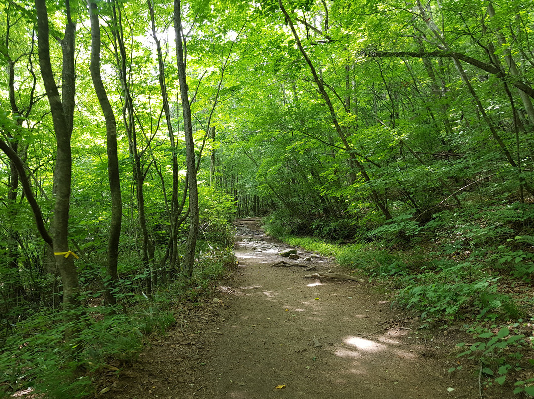 Bangtaesan Recreational Forest-麟蹄郡必去景点