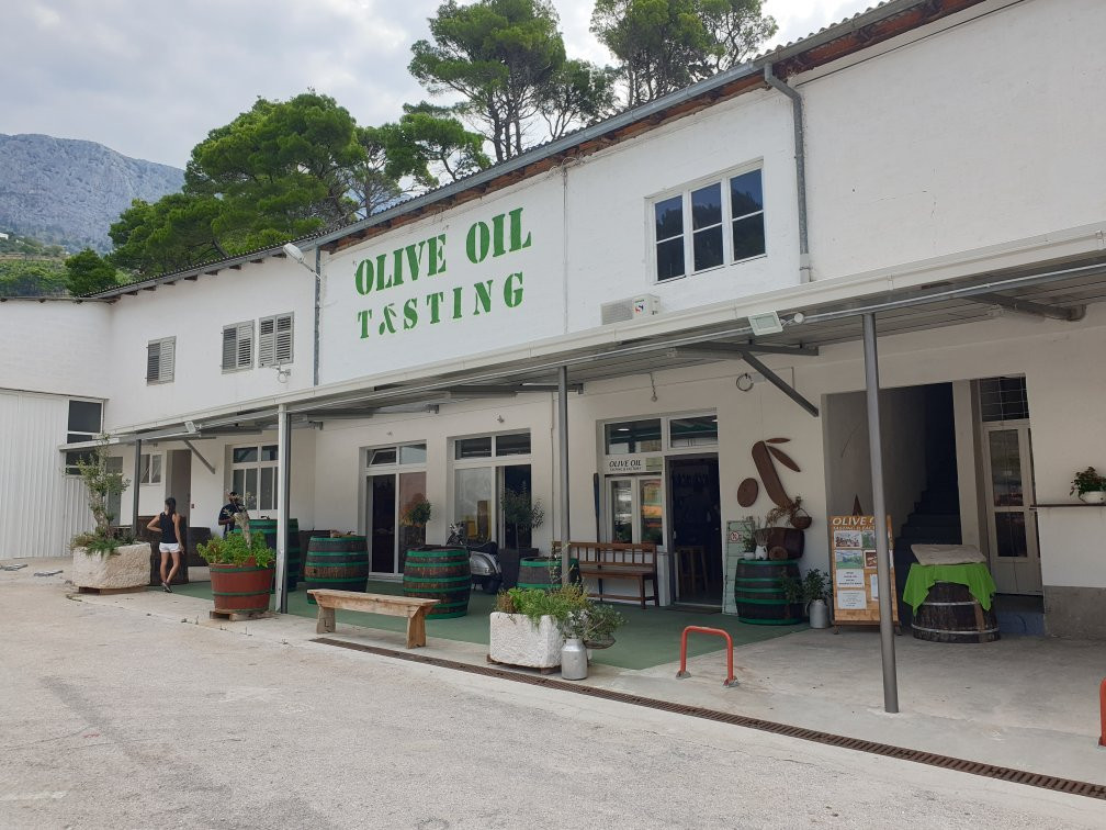 Olive Oil Tasting景点图片
