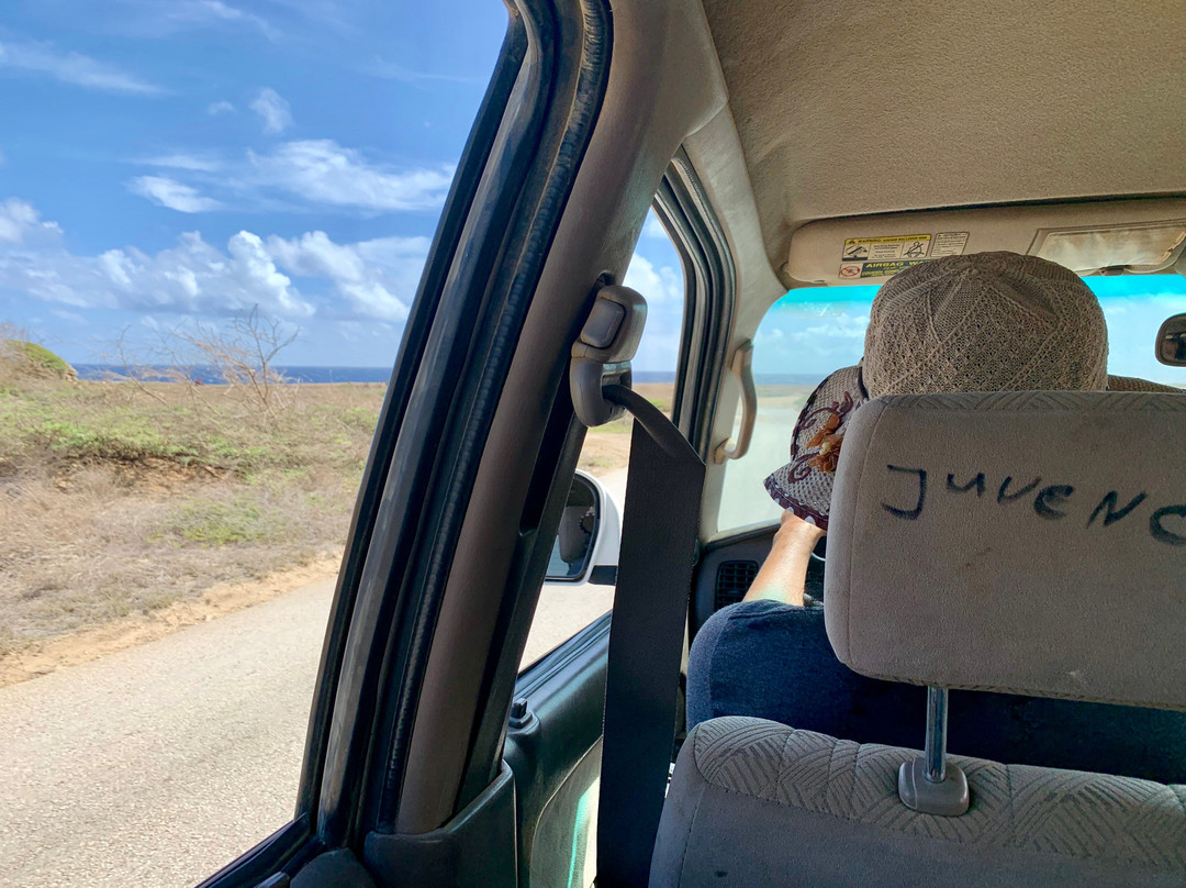 Madi Magical Tours-Santa Cruz必去景点