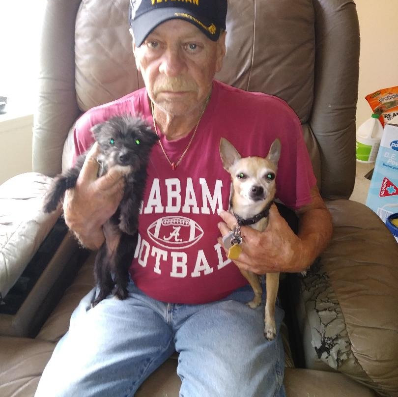 Hotel Capstone主图