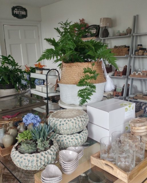 Arbor-Georgetown必去景点