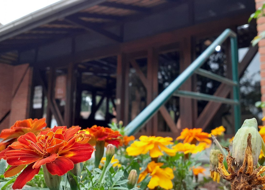 Mausoleu-Blumenau必去景点