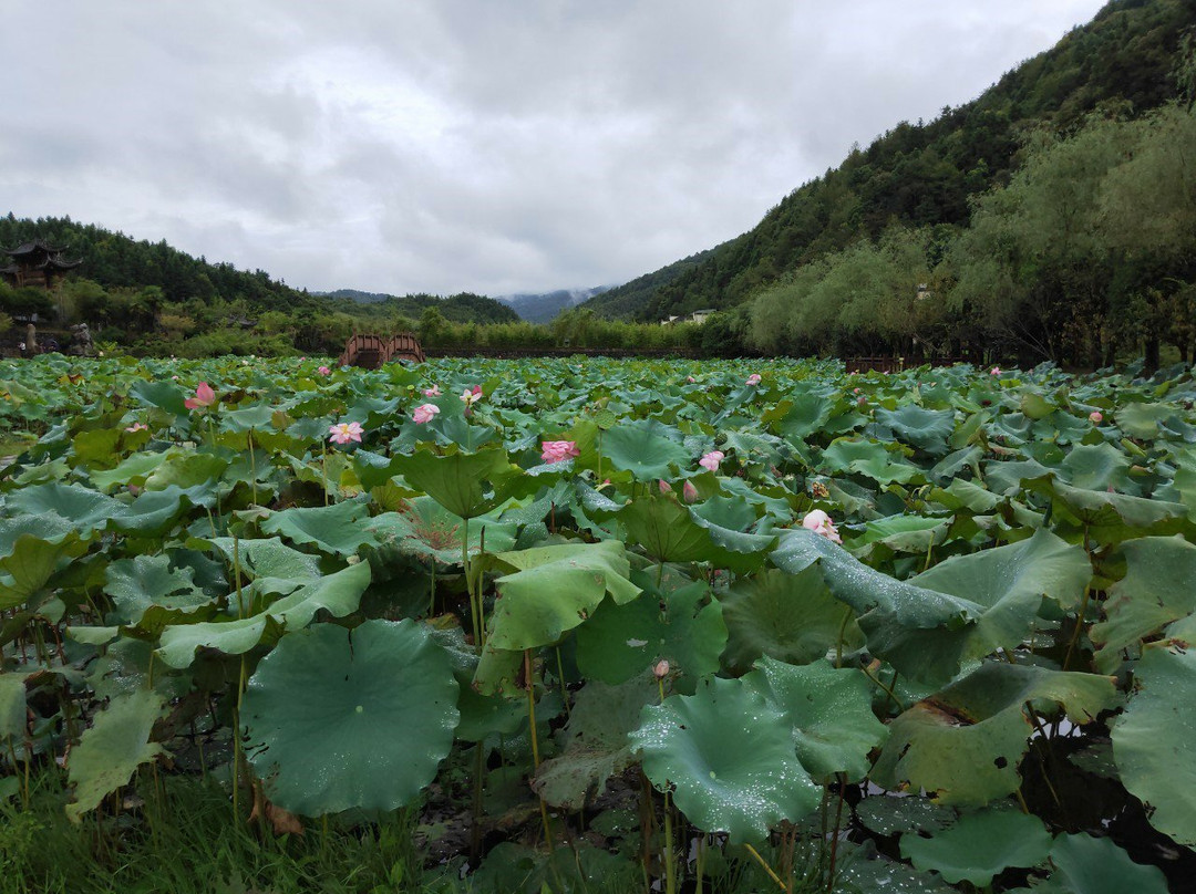 洪村-婺源县必去景点