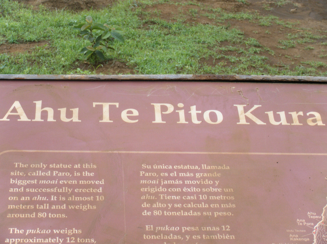 Ahu Te Pito Kura景点图片