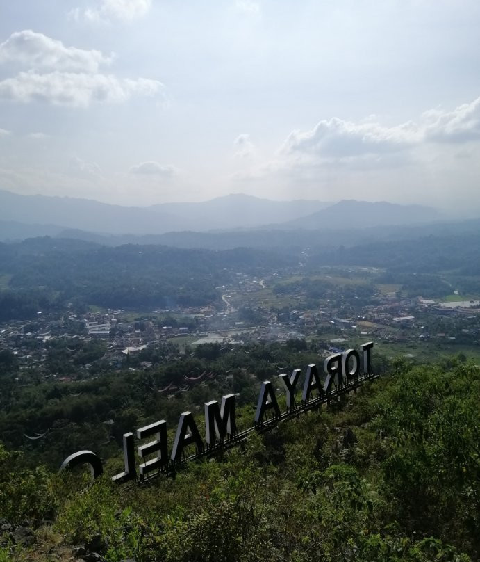 Wisata Religi Buntu Burake-Makale必去景点