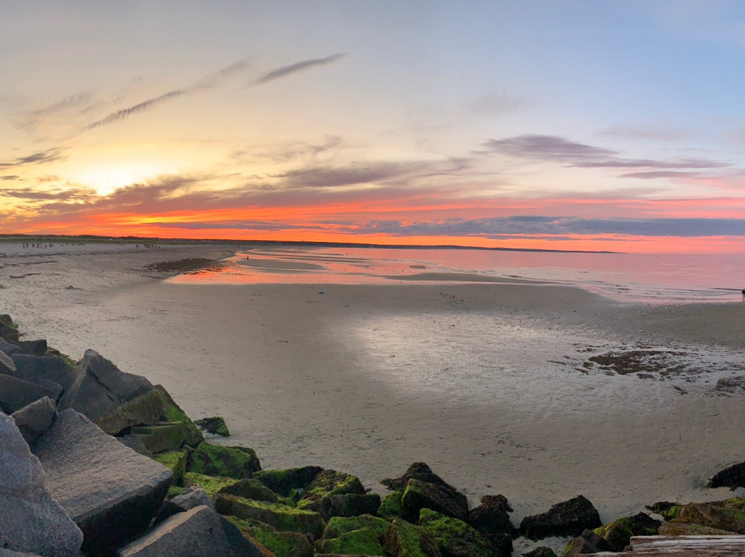 Scusset Beach State Reservation景点图片