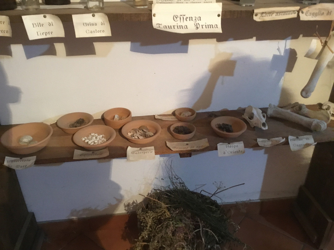 Museo delle Erbe - Viridairum-Teggiano必去景点