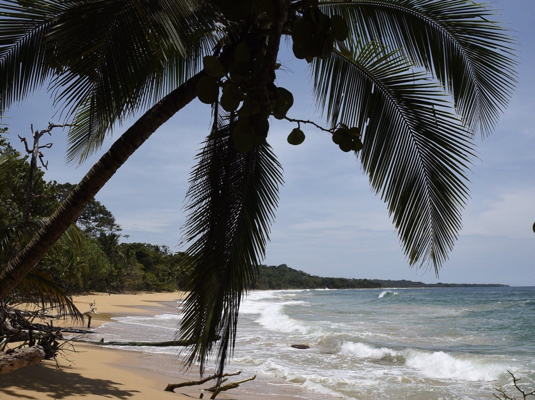 Bocas Ebikes景点图片