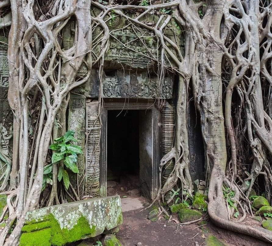 Siem Reap Art Tours-暹粒必去景点