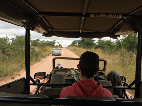 DreadLion Safaris-雾观必去景点