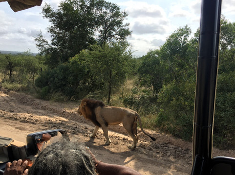 DreadLion Safaris-雾观必去景点