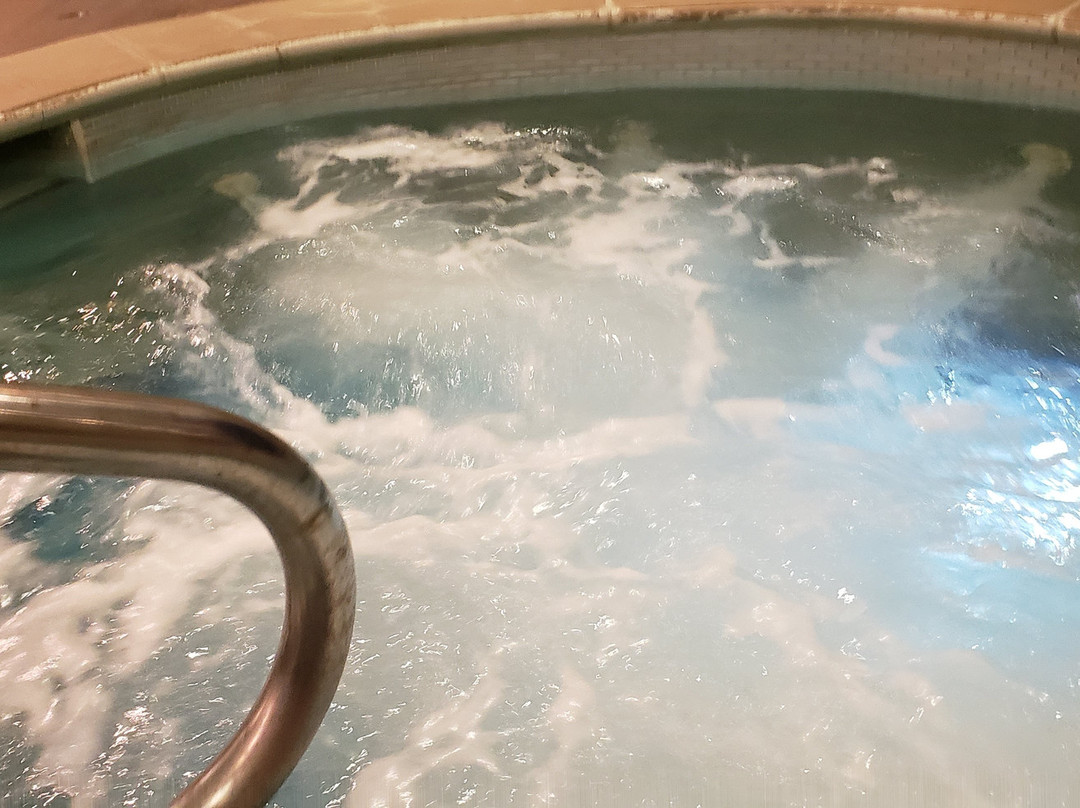 Staybridge Suites Albany Wolf Rd - Colonie Center主图