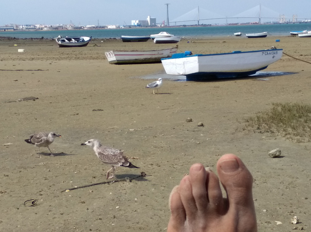 Estadio Ramon de Carranza-加的斯市必去景点