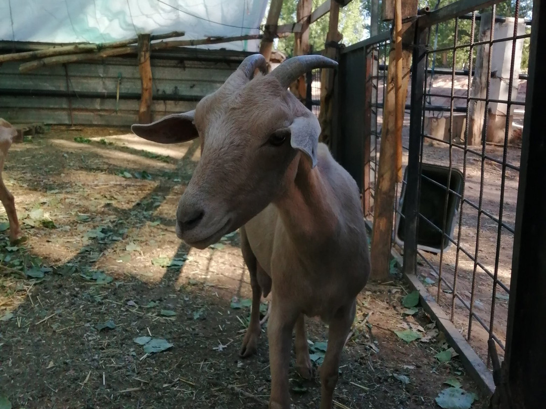 Masia El Molinete主图