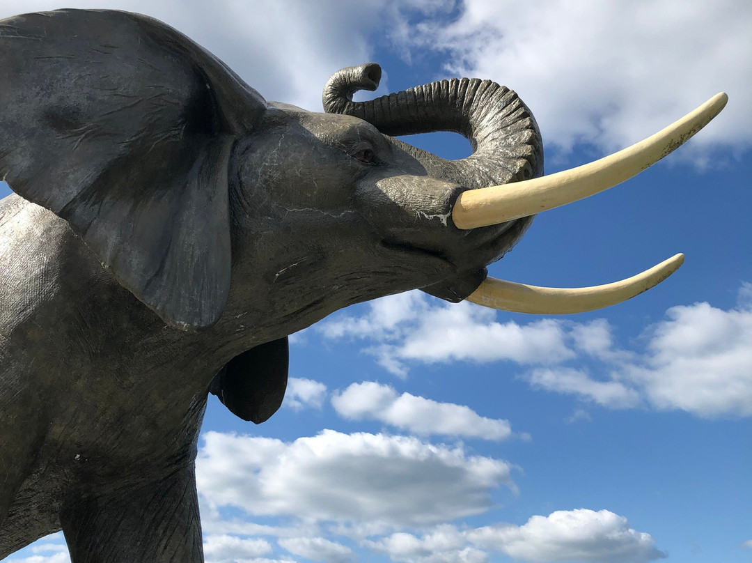 Jumbo The Elephant Monument景点图片
