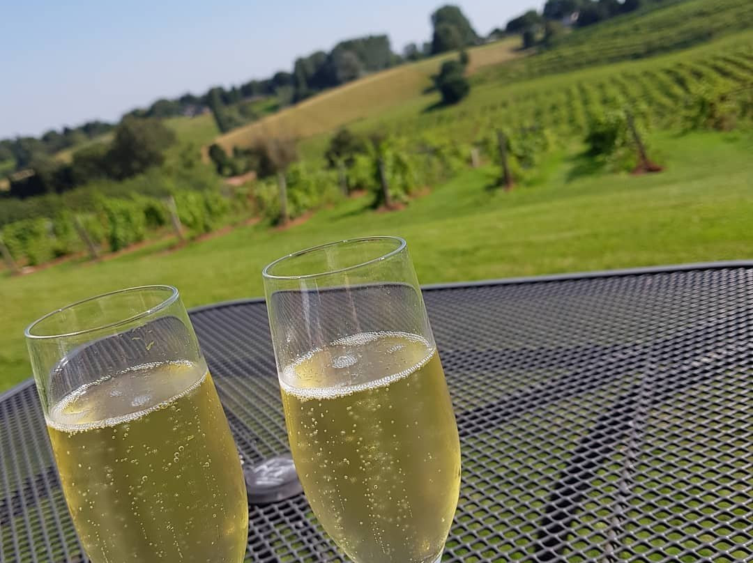 Three Choirs Vineyard-Newent必去景点