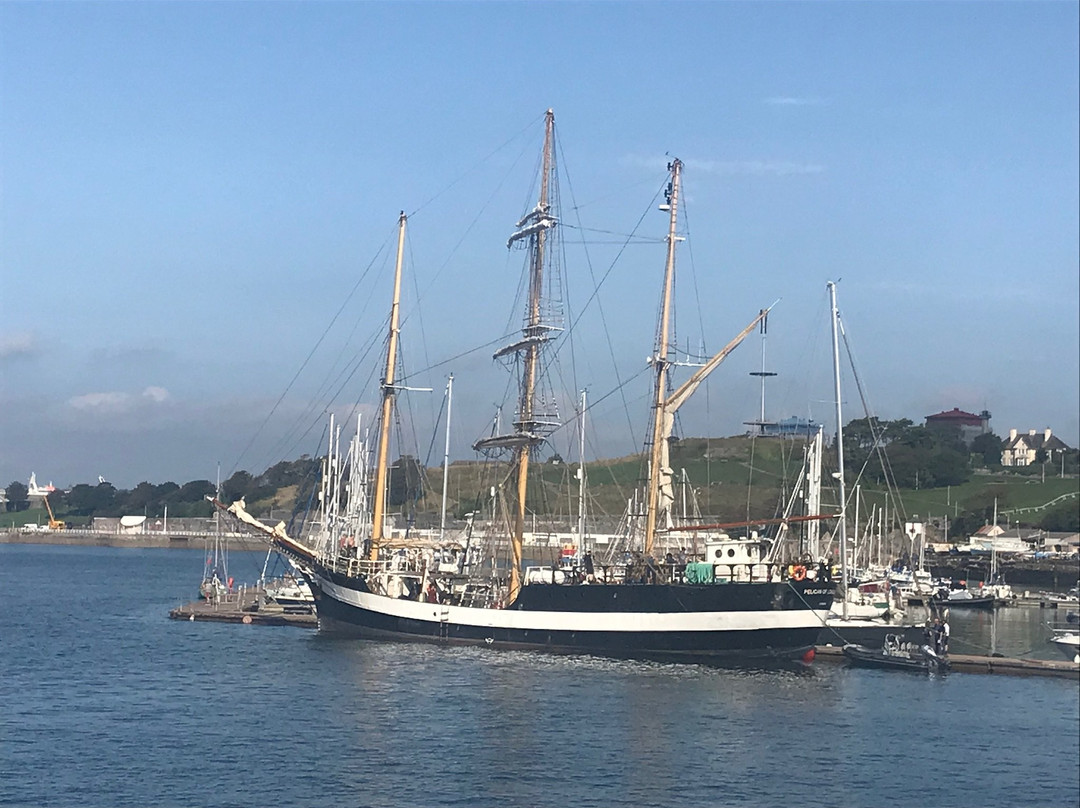 Mayflower Marina景点图片