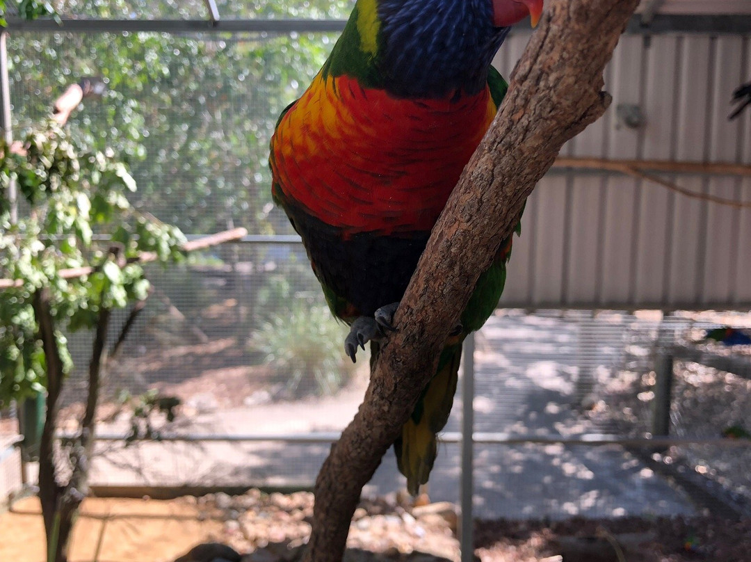 Ipswich Nature Centre景点图片