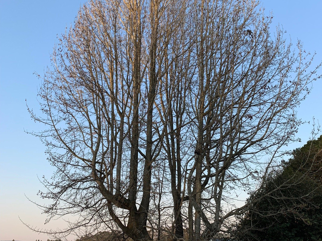 Lastingham Guest Lodge主图