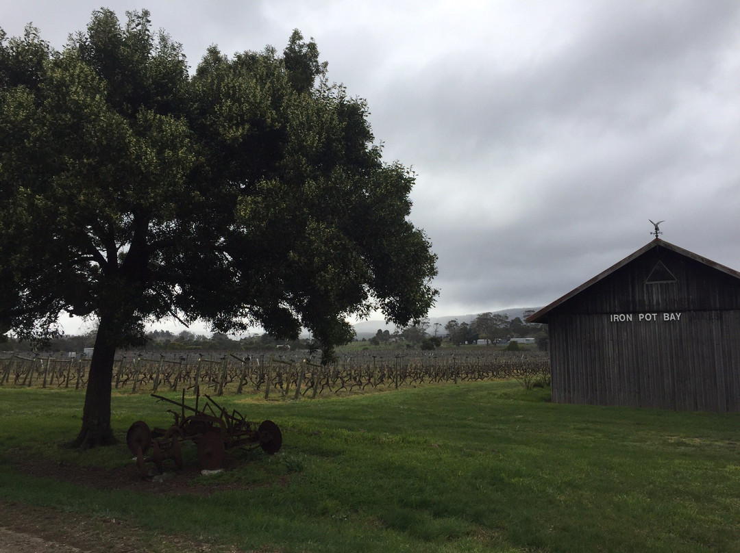 Iron Pot Bay Vineyard景点图片