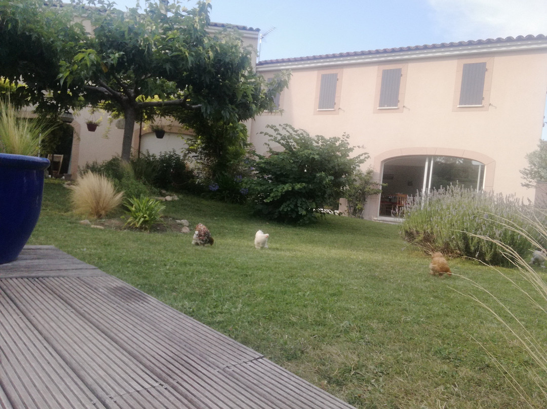 Maison D'Hotes Des jardins主图