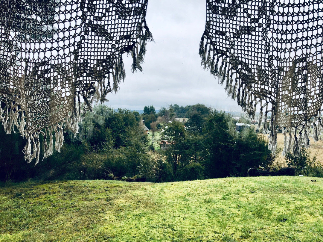 Hostal Casa Bosque主图