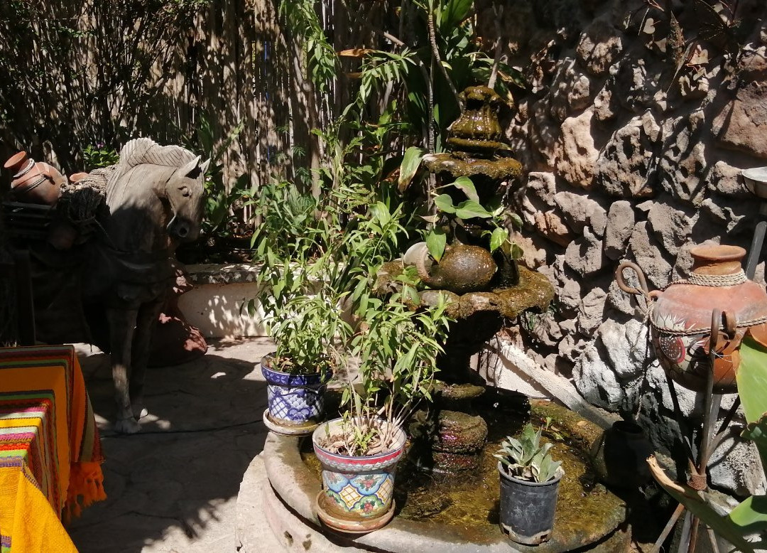 Historico Las Casitas主图