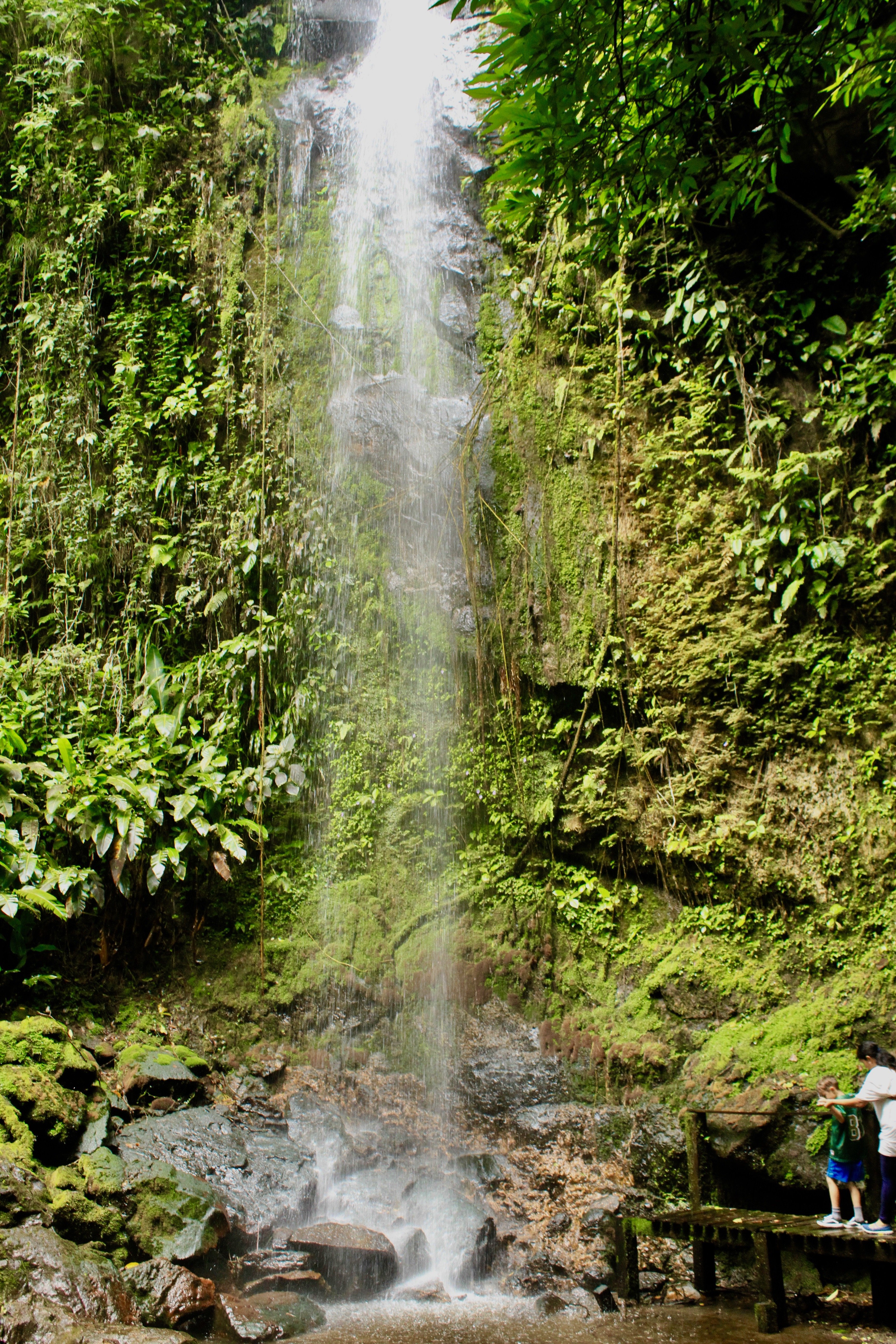 Borinquen Thermal Resort-portrait