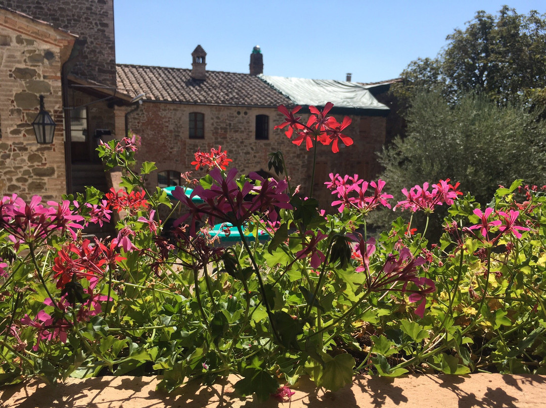 Relais Borgo Torale主图