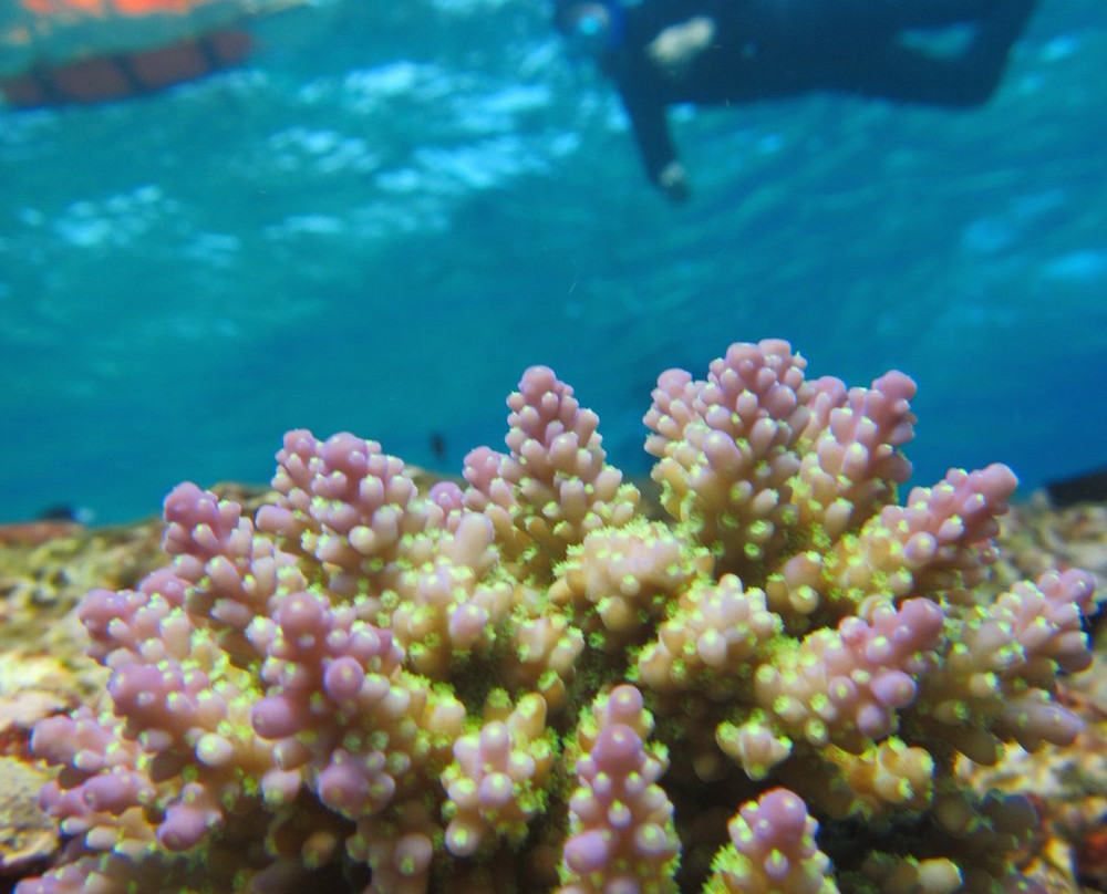 Aqualagoon景点图片