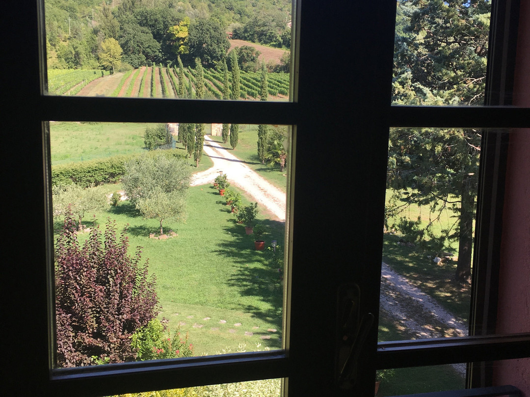 Agriturismo La Carpinella主图