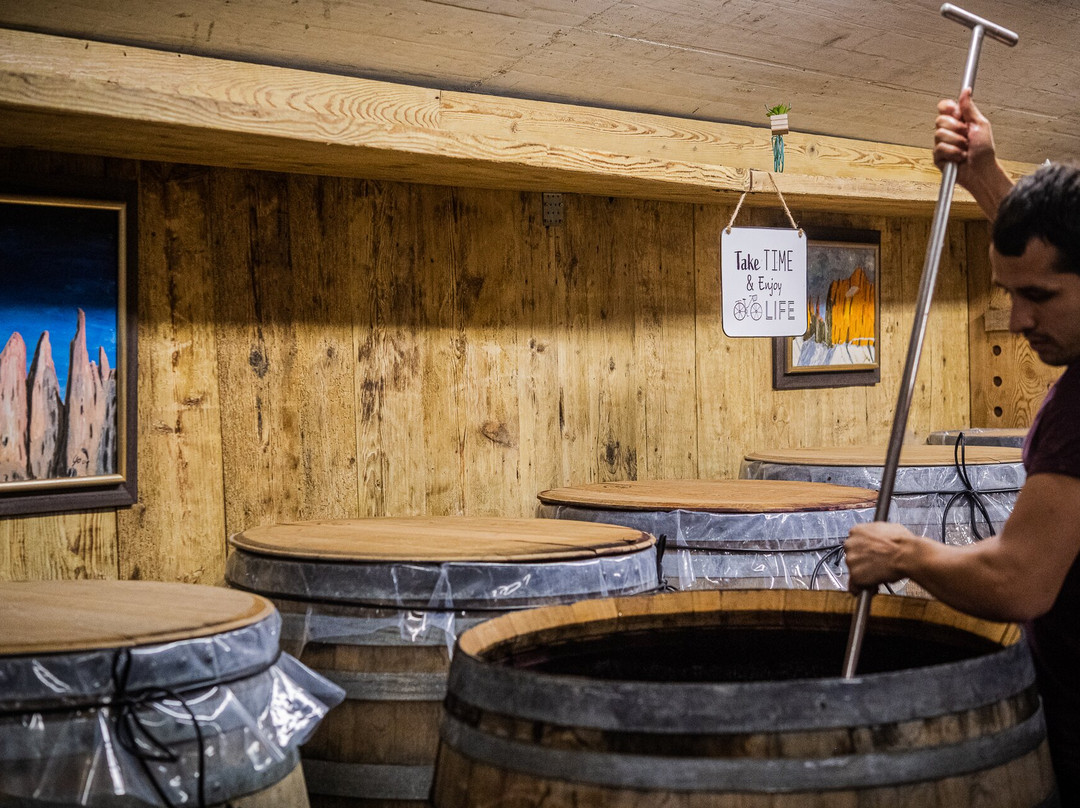 Kellerei Cantina Heiner.-博尔扎诺必去景点