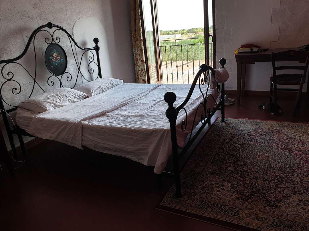 Villa Flora - Baia degli Ulivi主图