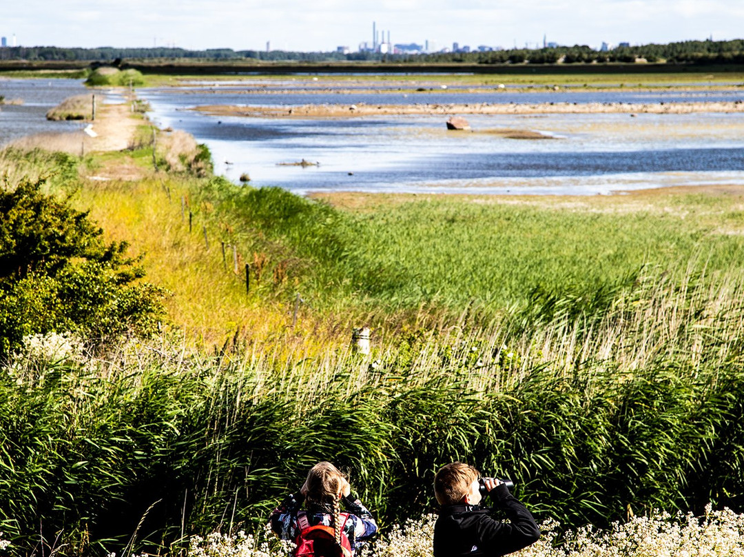 Amager Naturcenter景点图片