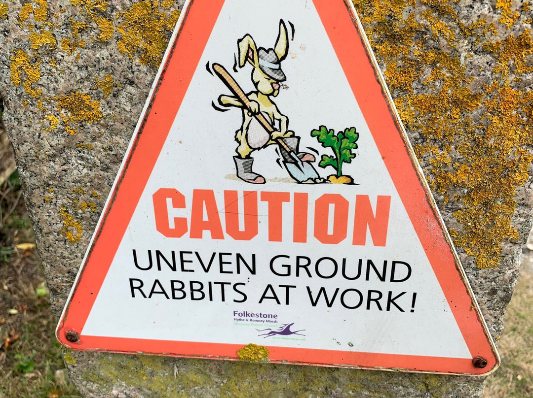 Romney Marsh Visitor Centre-New Romney必去景点