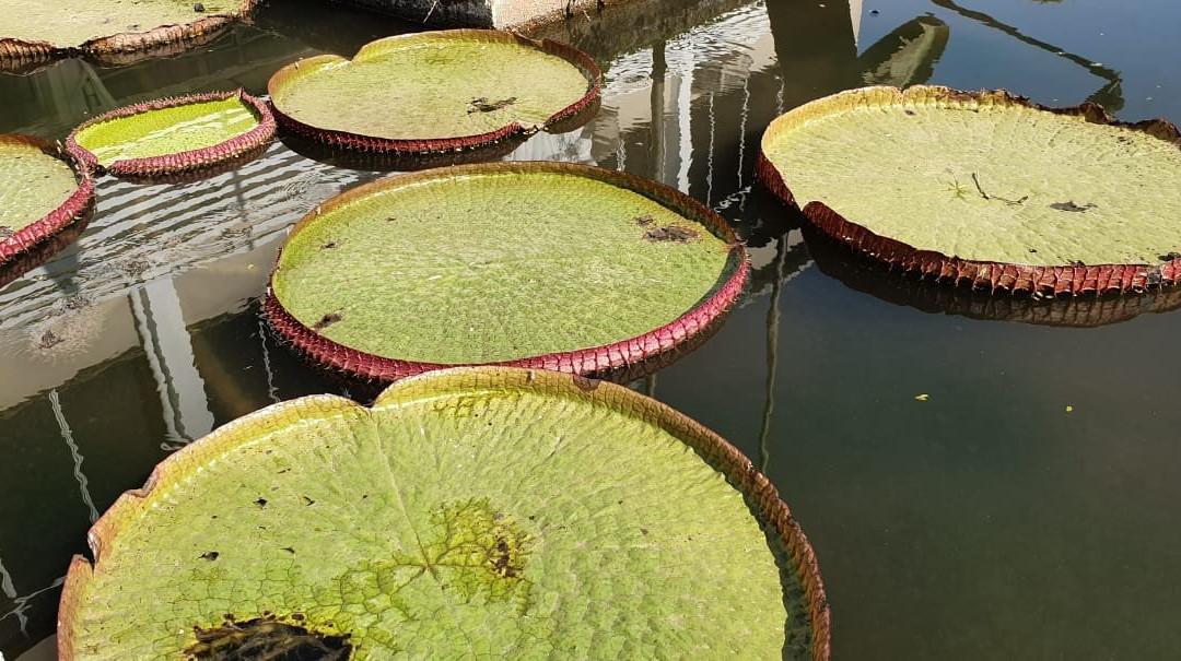 Praca Joao Hennings Filho-Indaial必去景点