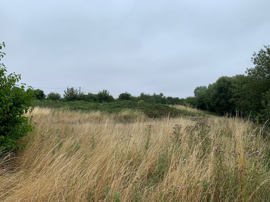 Romney Marsh Visitor Centre景点图片