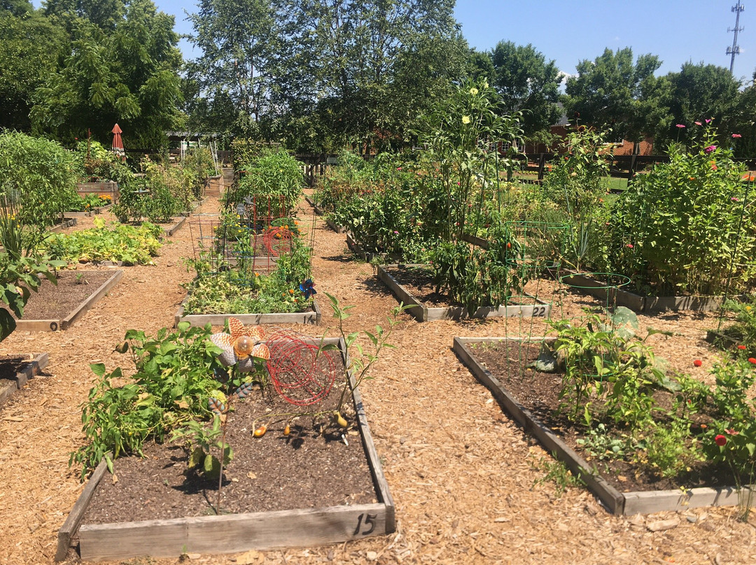 Newtown Park-约翰斯克里克必去景点