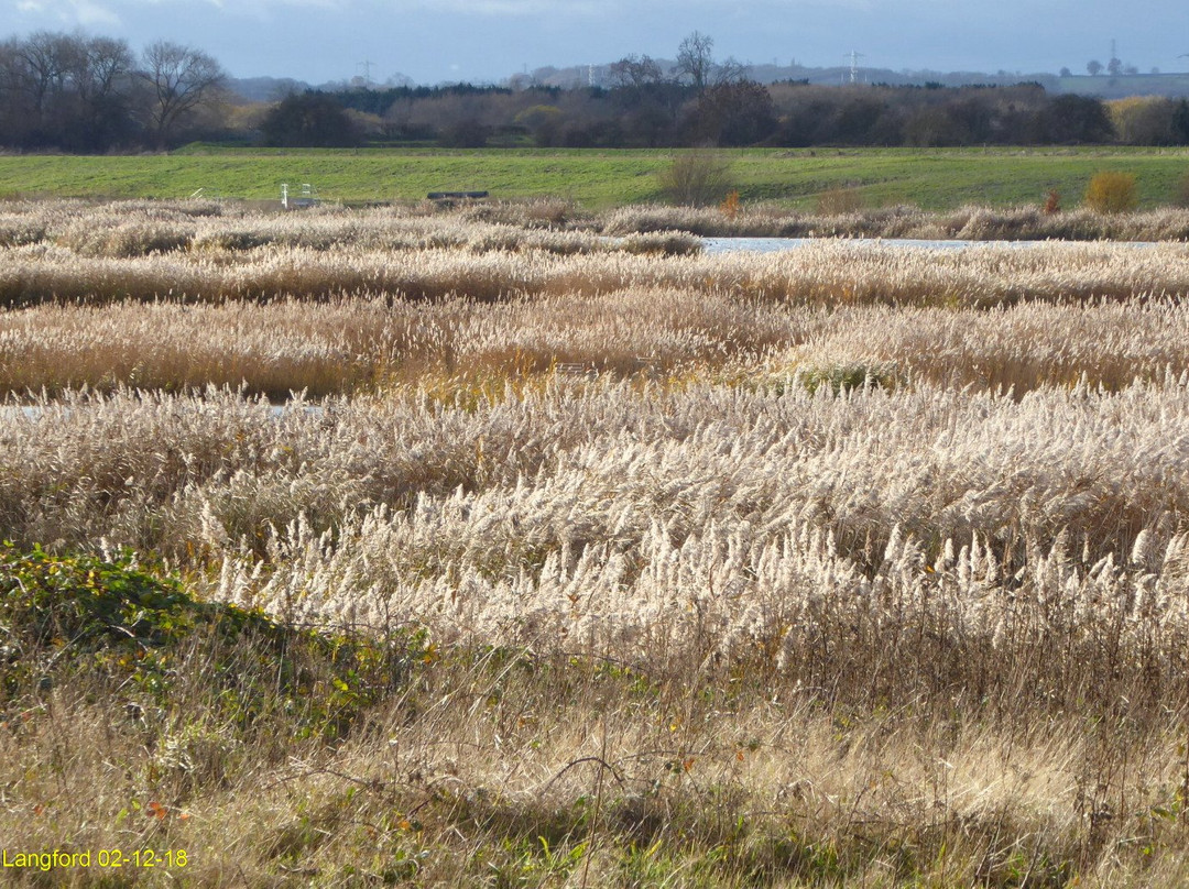 RSPB Langford Lowfields景点图片