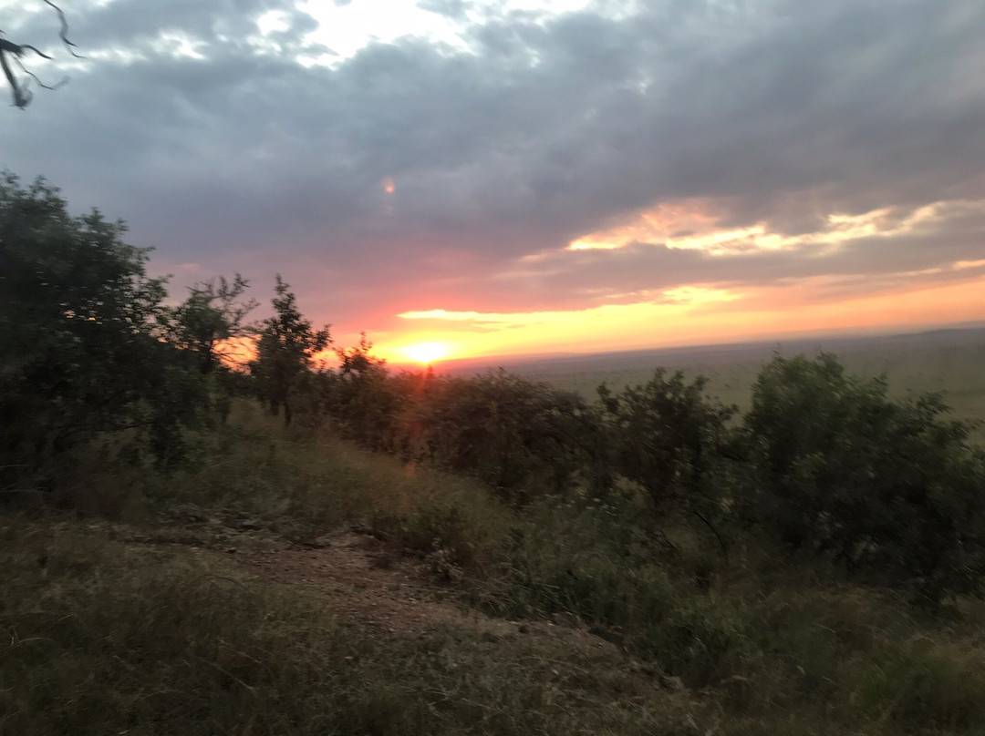 Mara Sun Lodge主图