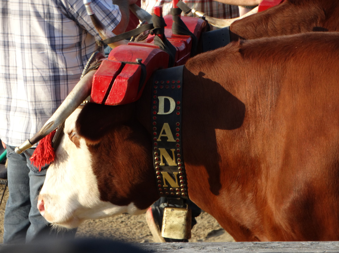 Acadian Museum-Miscouche必去景点