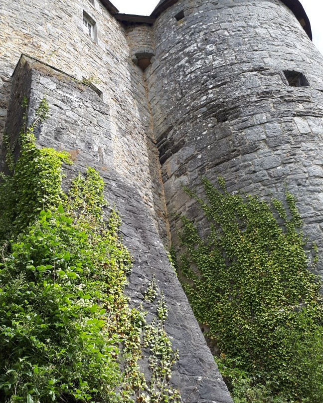 Château de Vêves - Patrimoine exceptionnel de Wallonie景点图片