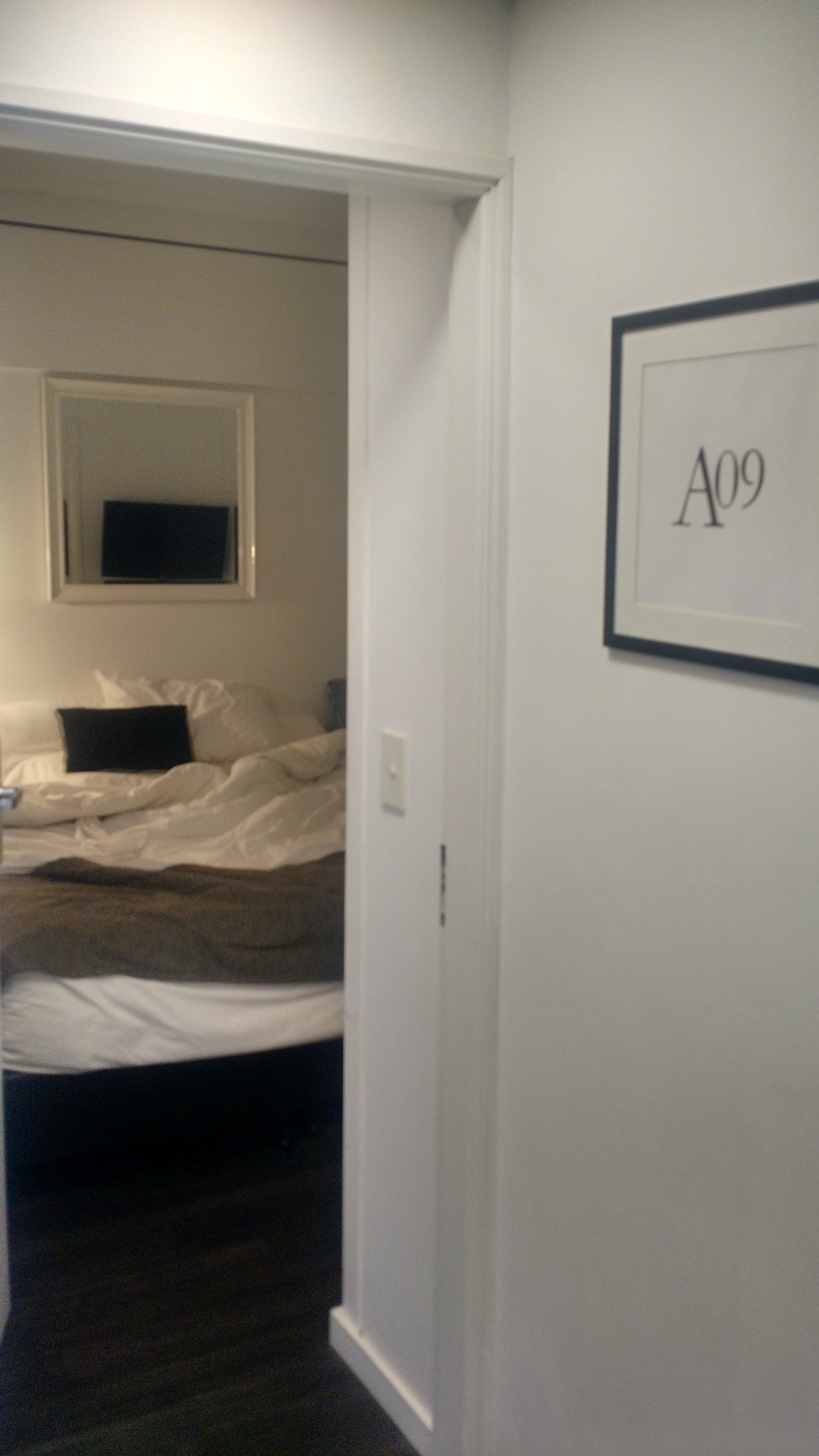 Hotel Alto San Isidro-官方