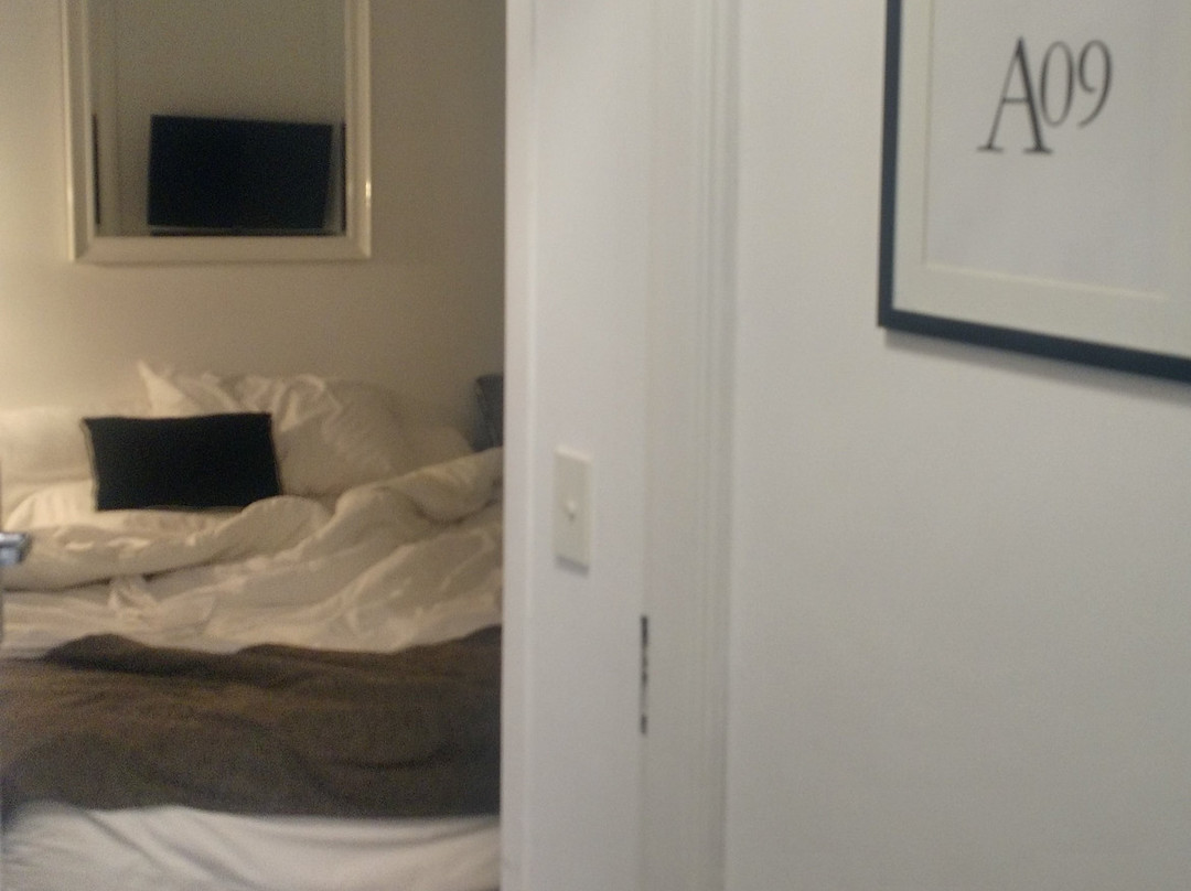 Hotel Alto San Isidro主图