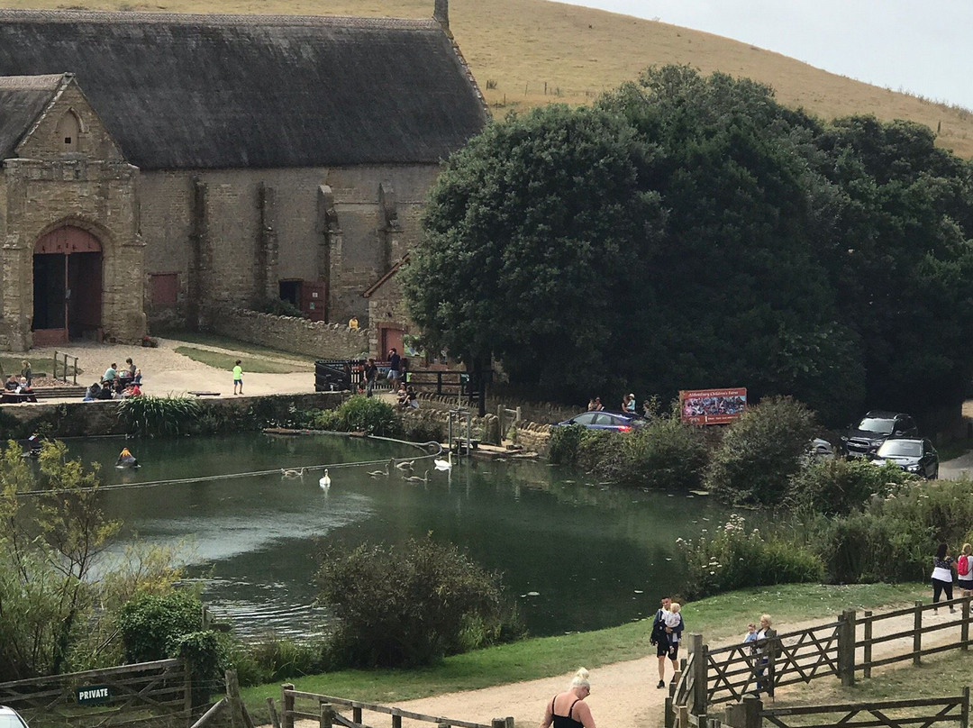 Abbotsbury Childrens Farm景点图片