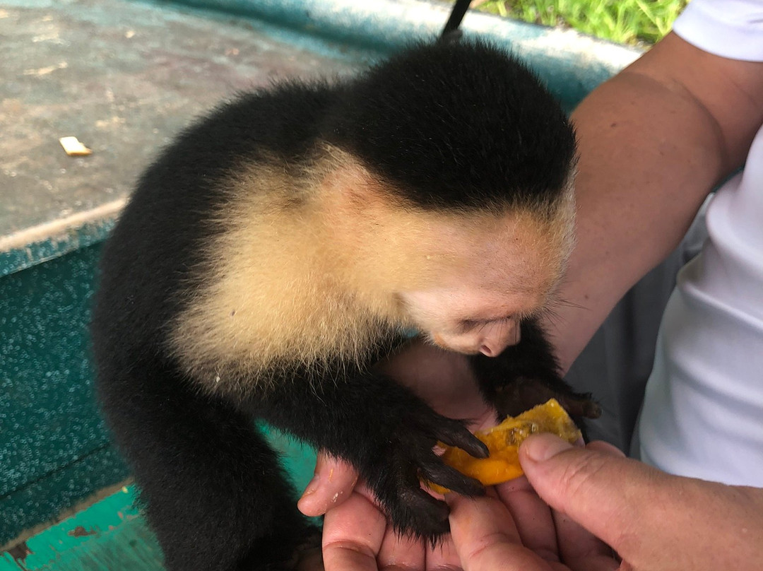 Monkey Island景点图片