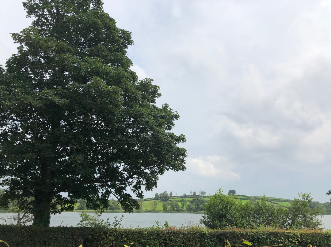 Roughan Lough B&B主图